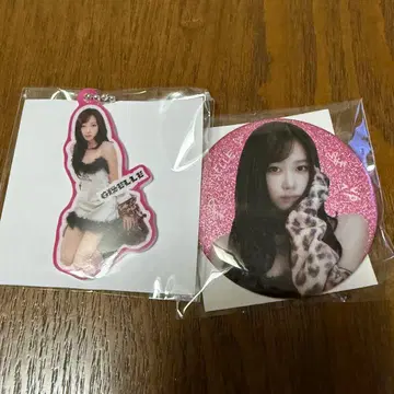 aespa 랜덤토이 지젤 캔배치 미니 아크릴 키링
