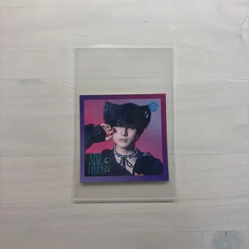 초특급 하루 타워 레코드 특전 스티커 NINE LIVES