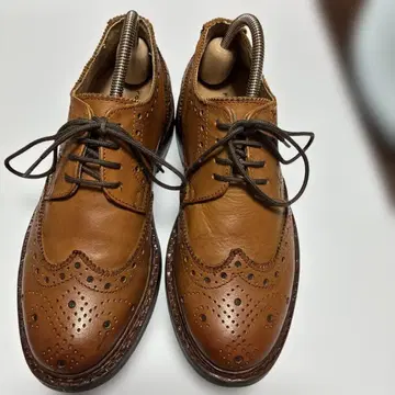브라운 윙 칩 신발 23cm