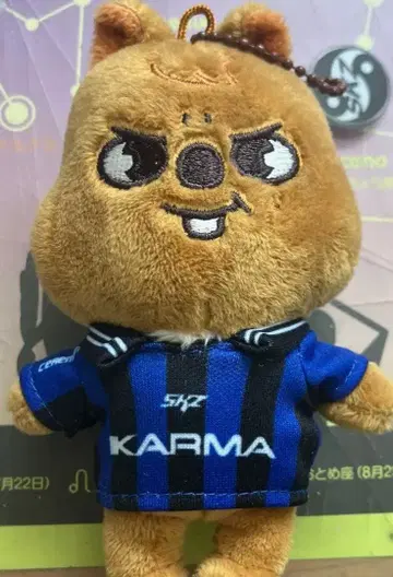 stray kids KARMA 한쿼카