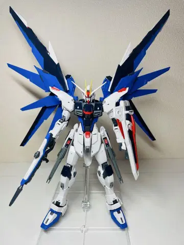 MG 프리덤 건담 Ver.2.0 (조립 완료)