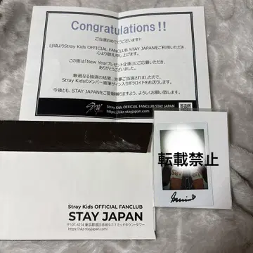 Stray Kids 스키즈 승민 친필 폴라로이드 체키