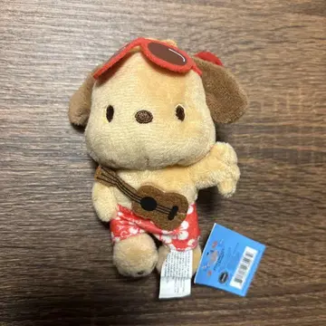 포차코 하와이