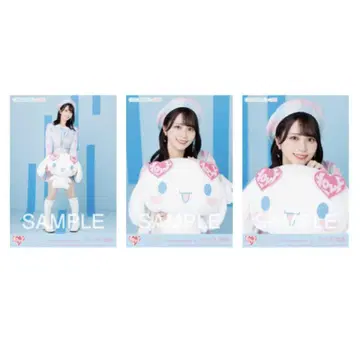 이코럽 사사키 마이카 시나몬 컴프