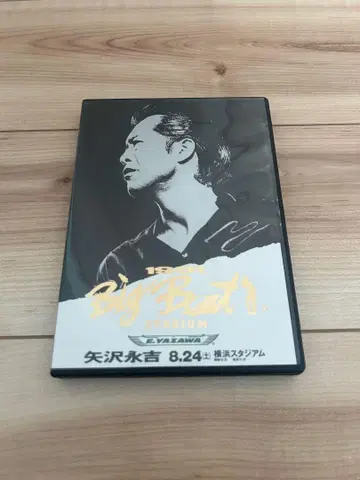 야자와 에이요시 Big Beat STADIUM DVD 1991