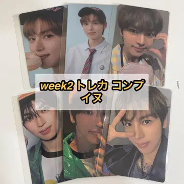 보이플라2 아카이브전 팝업 week2 트레이딩 카드 컴프 강아지
