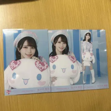이코럽 사사키 마이카 시나모롤 콜라보 컴프
