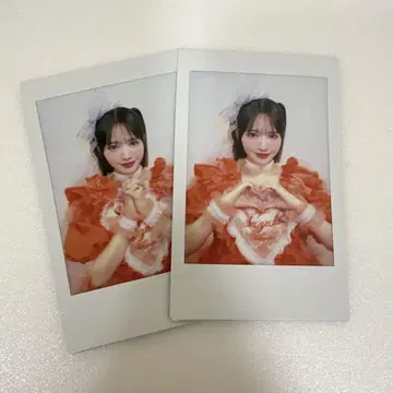 진세이 스즈카 하트 의상 프린트 폴라로이드