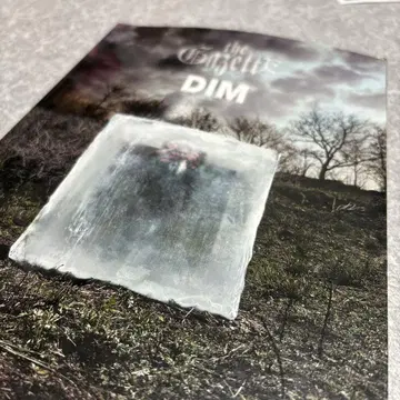 [ 묶음 구매 대환영 ] the GazettE/DIM