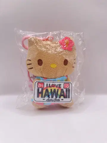 일요일 한정 가격 헬로키티 하와이풍 키링