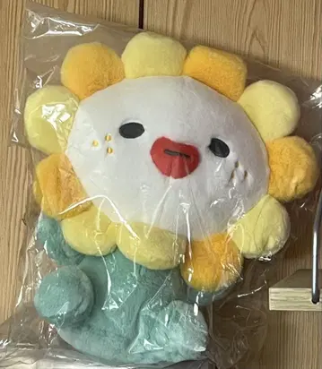 제오참 JO1 빌라 봉제 인형