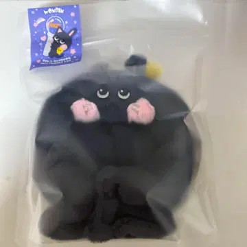 RIIZE 원빈 토냥덕 응원봉 케이프