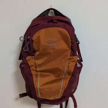 OSPREY DAYLITE 백팩 버건디