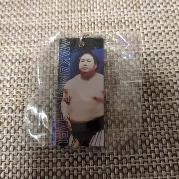 스모 가챠 스틱 키링 와카모토하루 세키