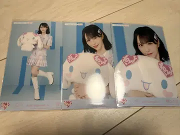 이코럽 노구치 이오 시나모롤 콜라보 2025 브로마이드 컴프