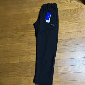 미즈노 저지