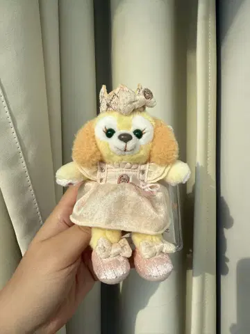 상하이 디즈니 벌스데이 쿠키앤 키체인 전체 커버 포함