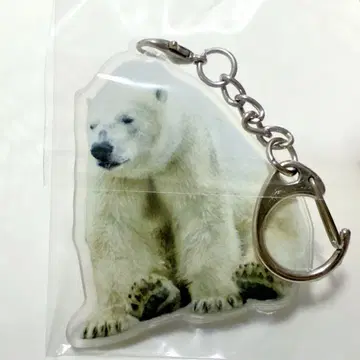 북극곰 라이트 군 아크릴 키링