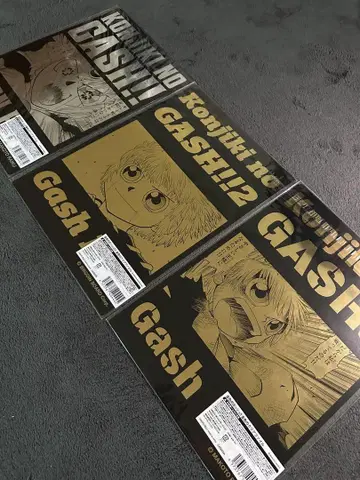 갓슈 POPUP샵 한정판 골드 컬러와 은색 클리어 파일 세트