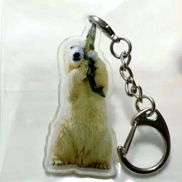 북극곰 이코로 아크릴 키링