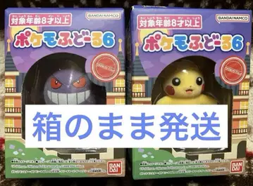 포켓몬 후도르 6 겐가 피카츄 2점 세트
