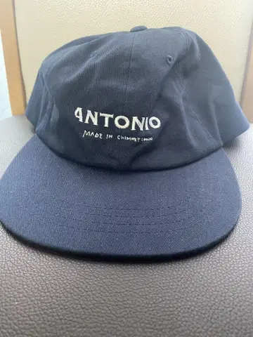Logo Cap / Navy [ANT-003]