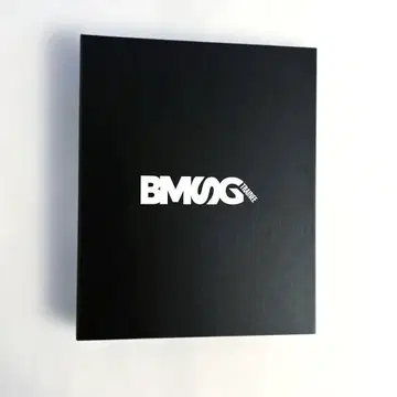 BMSG 파일