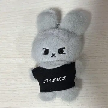 도영 citybreeze 토끼 키링