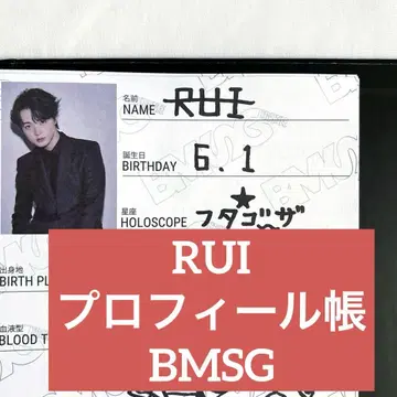 RUI 프로필북
