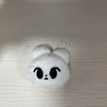도영 비둘기 키링
