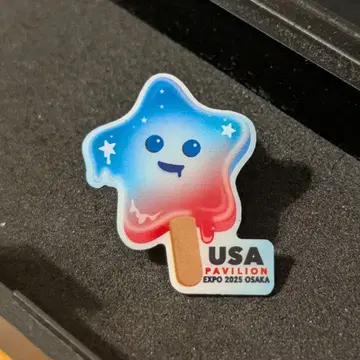 USA Pavilion Expo 2025 Osaka 핀 배지