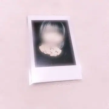 러브시크 하야테 폴라로이드