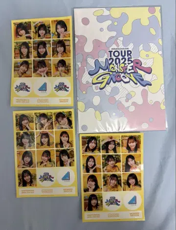 히나타자카46 MONSTER GROOVE 투어 팜플렛 & 히나코레 스티커