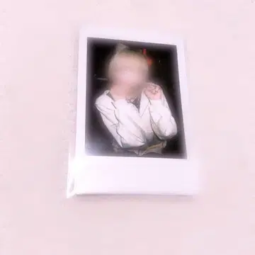 러브시크 하야테 폴라로이드