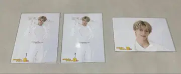 EBiDAN 스포츠맨 힙! 브로마이드 소노 슌타