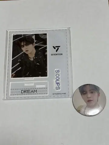 SEVENTEEN 에스크프스 승철 아크릴 스탠드 DREAM