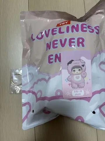 loveliness never ends 마스코트 피규어