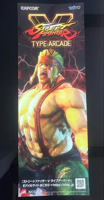 스트리트 파이터 V 단책 포스터 알렉스 CAPCOM