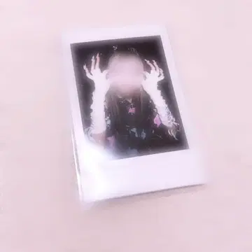 러브시크 하야테 폴라로이드
