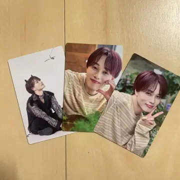 초특급 마사히로 솔로반 트레이딩 카드
