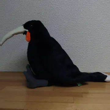 카라스노키 봉제 인형 미나미지마 코카코