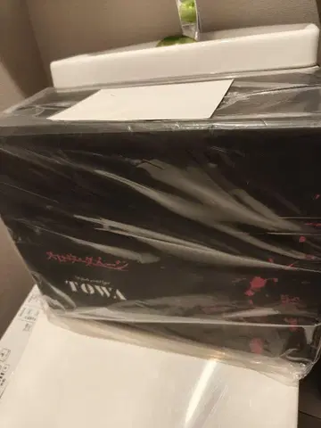 슬로우 데미지 슬로우데미지 토와 피규어 새상품 혜택 포함 슬로다메