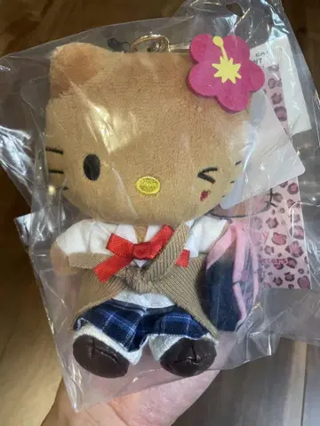 새상품 헬로키티 봉제인형 참 티니티니 콜라보 브라운