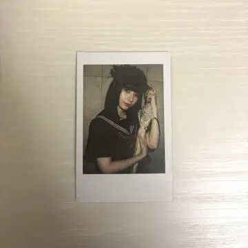 타마키야네 폴라로이드
