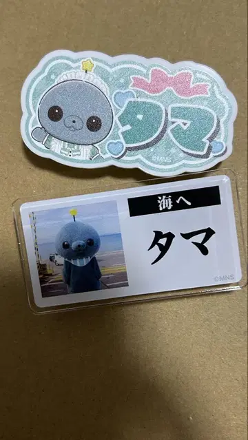 교육 방송 트레이딩 명찰풍 배지 타마