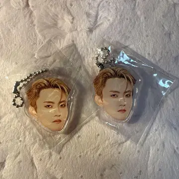 타지마 쇼고 얼굴 키링 캡슐 토이