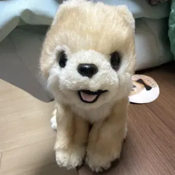 포메라니안 슌스케 봉제 인형