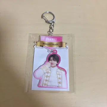 초특급 하루 아크릴 키링