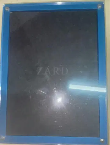 [ ZARD ] 사카이 이즈미