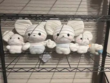 포켓몬 봉제 인형 등신대 어느새 진화!? 이가네쥐 새상품급